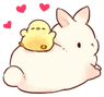 bunny_duck emote