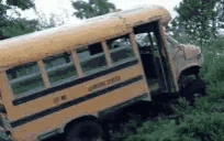 struggleBus emote
