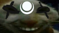 xddiana emote