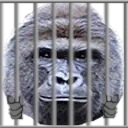 PDW emote