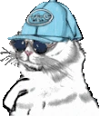 dorkin emote
