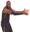 WHATAREYOUDOING emote