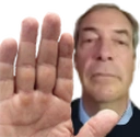 nigelHalt static emote