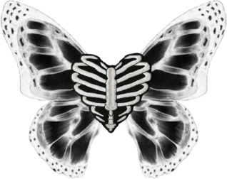 skull_butterfly static emote