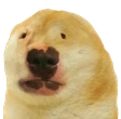 dug emote