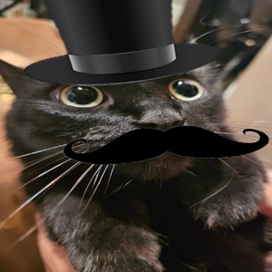 nrgskuby avatar