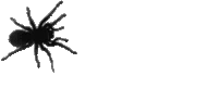 Spider_3 emote