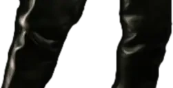 Van5 emote
