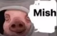 mish emote
