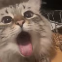 bah emote