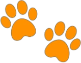 orange emote