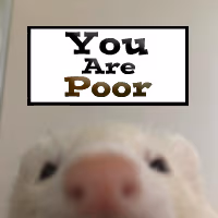 rat_youarepoor emote