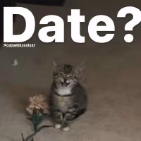 date emote