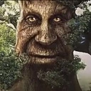 Wise_tree emote