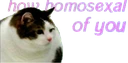 How_gay emote