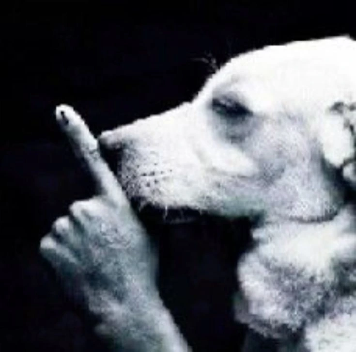 silencio1982 emote