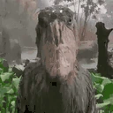 Stare emote
