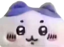 bro emote
