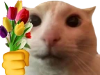 catTulips emote