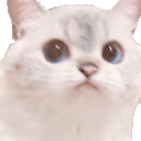 NanaStare emote