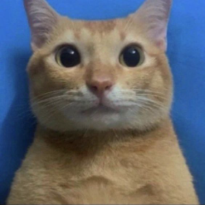 eito avatar