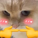 arUwU emote