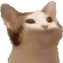 PausePop animated emote