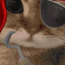 arr emote