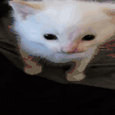 funny animated emote