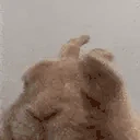 Vibe emote