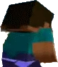 steve emote
