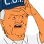 salute emote