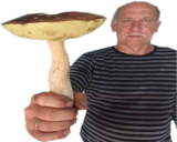 grzyb static emote