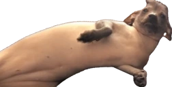 creatureOgre emote