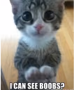 boobs emote