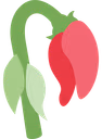 WILTEDROSE emote