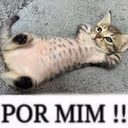 PORMIM emote