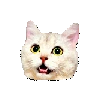 cat_surprize emote
