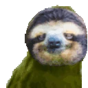 RareSloth emote