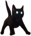 cat_spook emote