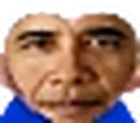 4Obama emote