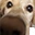 Lu_Booop emote