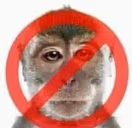 NOAUTORIZO emote
