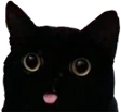 CatMelm emote