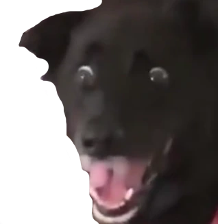 DogScared emote